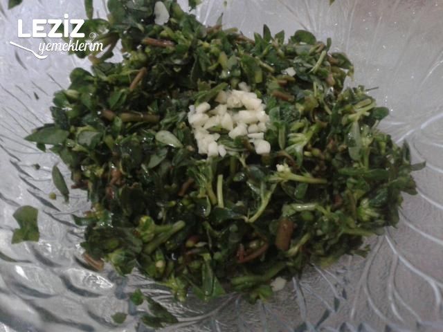 Semizotu Yoğurtlaması Tarifi