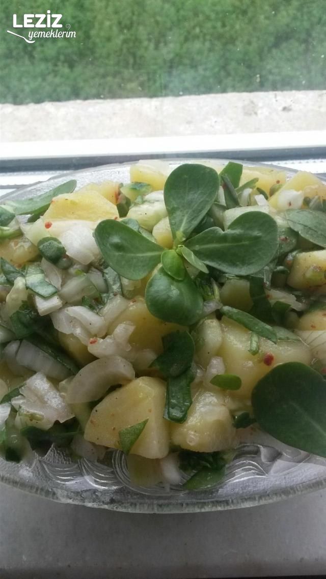 Semizotlu Patates Salatası