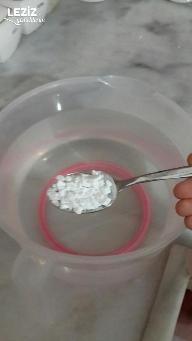 Çubuk Turşusu Tarifi