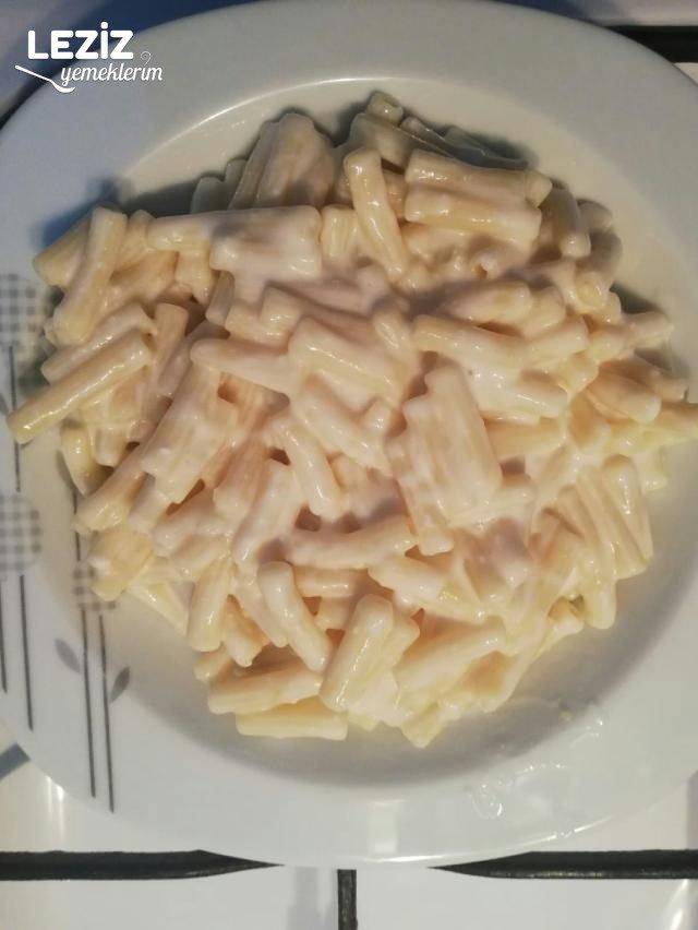 Yoğurtlu Makarna(Salça Soslu)