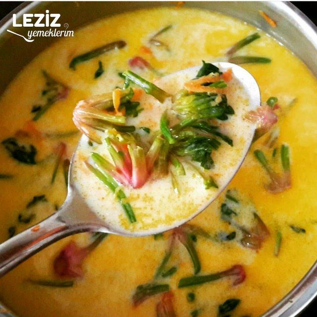 Ispanak Kökü Çorbası