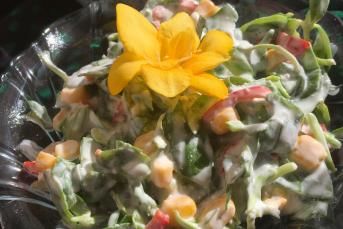 Bol Malzemeli Semizotu Salatası