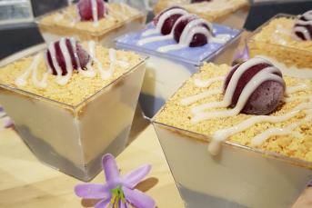 İki Renkli Muhallebi