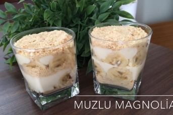Muzlu Magnolia Yapımı