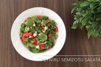 Peynirli Semizotu Salatası Tarifi