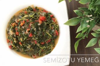 Semizotu Yemeği
