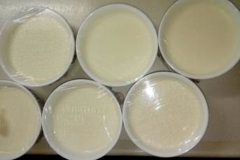 Meşhur Alaçatı Muhallebisi