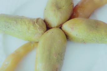 Kabak Oturtma (Antep Yemeği)