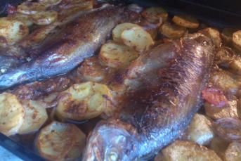 Fırında Tahinli Alabalık