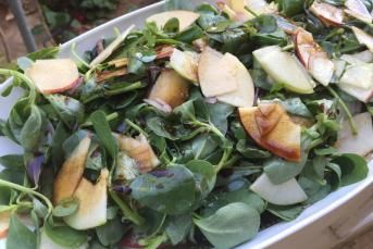 Meyveli Semizotu Salatası