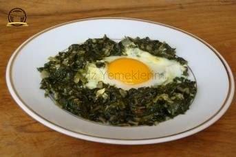 Ispanaklı Yumurta