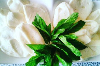 Antakya Peyniri Evde Hazırlama