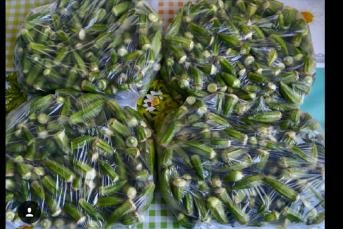 Derin Dondurucuya Bamya Nasıl Konur