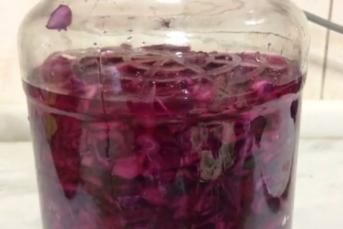 Kırmızı Lahana Turşusu Nasıl Yapılır