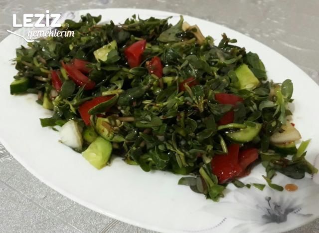 Semizotu Salatası Tarifi (Yoğurtsuz)