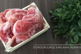 Buzlukta Domates Saklama (Videolu)