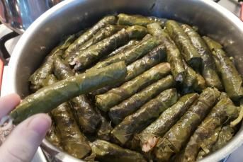 Zeytinyağlı Yaprak Sarma (Tüm Aşamaları İle)