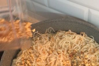 Cevizli Ev Eriştesi