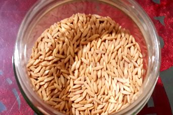 Her An Elimizin Altında,kavrulmuş Kuru Şehriye