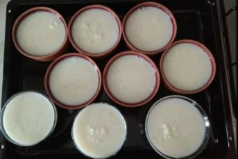 Damla Sakızlı Hindistan Cevizli Sütlaç