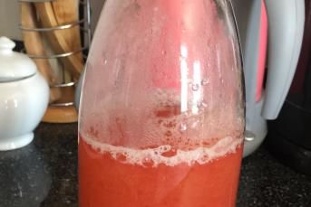 Doğal Erik Suyu Yapımı