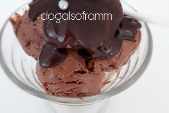 Yoğurtlu Kakaolu Dondurmamsı