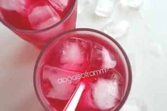 Nefis Reyhan Şerbeti