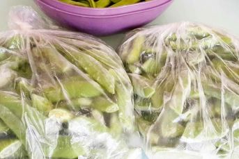 Buzluğa Taze Fasulye Nasıl Koyulur (En Pratiğiden)