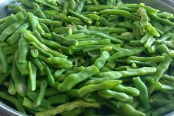 Derin Dondurucuda Taze Fasulye Saklama Yöntemi