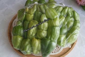 Dondurucuya Dolmalık Biber Konulması