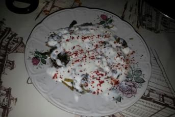 Semizotu Yoğurtlaması