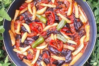 Etsiz Patlıcan Oturtma