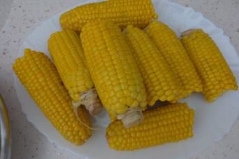 Mısır Nasıl Kaynatılır