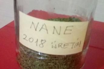 Evde Çok Kolay Nane Kurutma, Evde Nane Nasıl Kurutulur