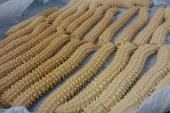 Kıyır Kıyır Tırtıl Kurabiye