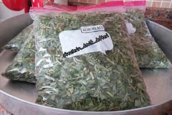 Dondurucuya Semizotu Konulması