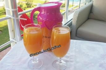 Ev Yapımı Şeftali Suyu Tarifi