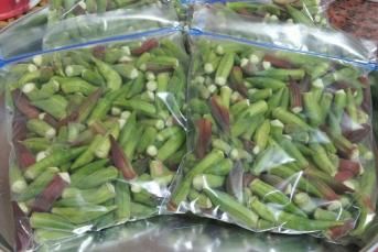 Dondurucuya Bamya Konulması