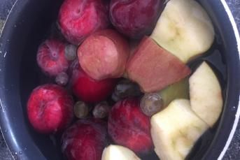 Karışık Meyve Suyu (Ev Yapımı)