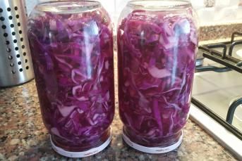 Mor Lahana Turşusu Nasıl Yapılır