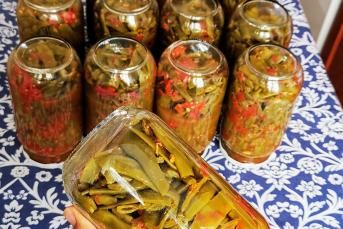 Taze Fasulye Konservesi