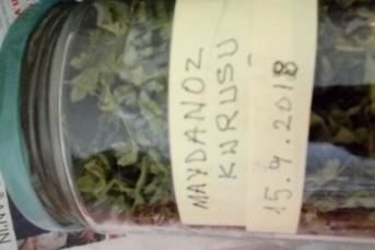 En Son Maydanoz Saklama Usulü