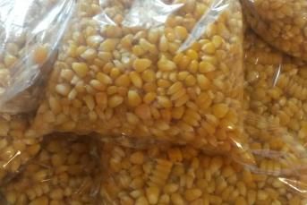 Dondurucuya Mısır Koymak