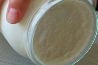 Evde Yoğurt Mayalama