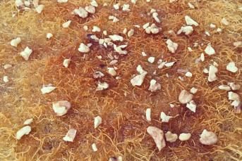 Cevizli Tel Kadayıf Yapımı