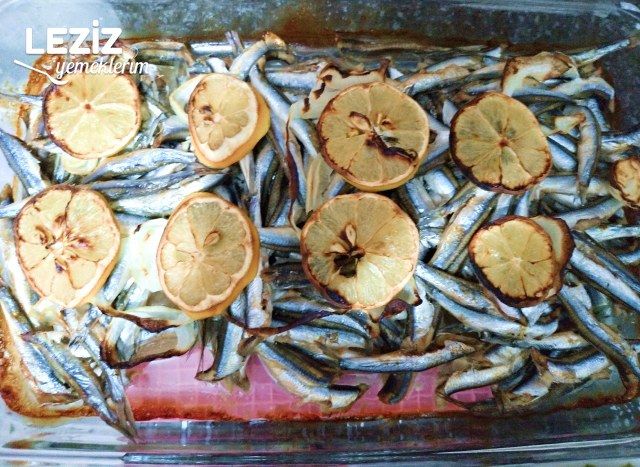 Fırında Hamsi Buğulama
