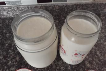 Evde Yoğurt Nasıl Yapılır