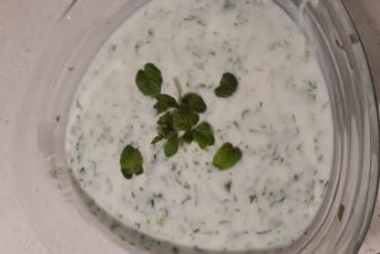 Bol Yeşillikli Cacık