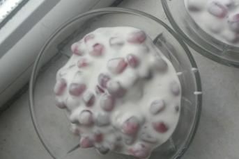 Çocuklar Icin Yogurtlu Nar Taneleri