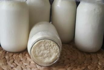 Taş Gibi Ev Yoğurdu Yapımı